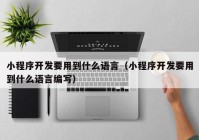 小程序开发要用到什么语言（小程序开发要用到什么语言编写）